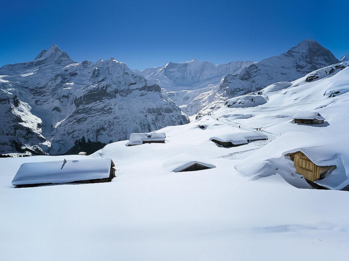 Apartment Chalet Casa Almis 5 By Interhome Grindelwald Exteriér fotografie